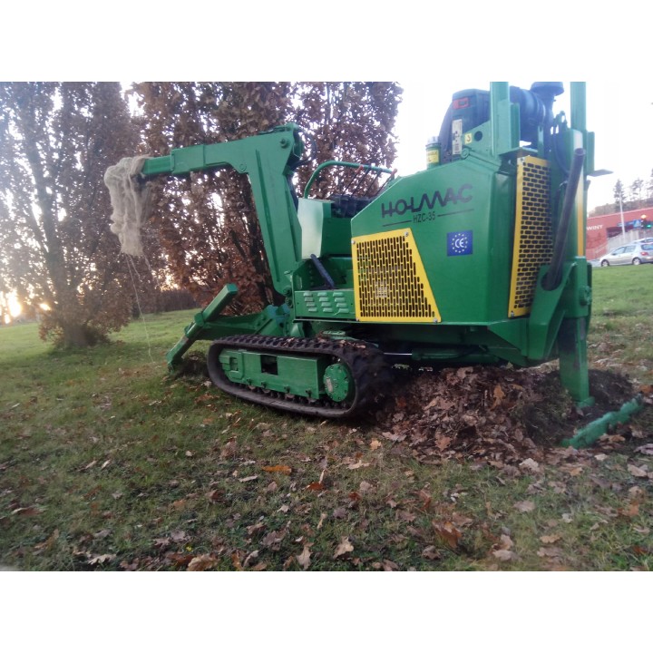 Buk zwyczajny duży Fagus sylvatica obwód pnia od 10-12 cm Piękny żywopłot