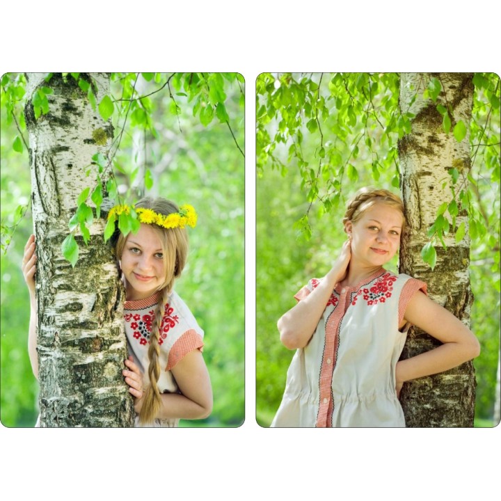 Brzoza brodawkowata Betula pendula 200–300 cm | Pnąca, obwód pnia 14–16 cm | 1 szt.