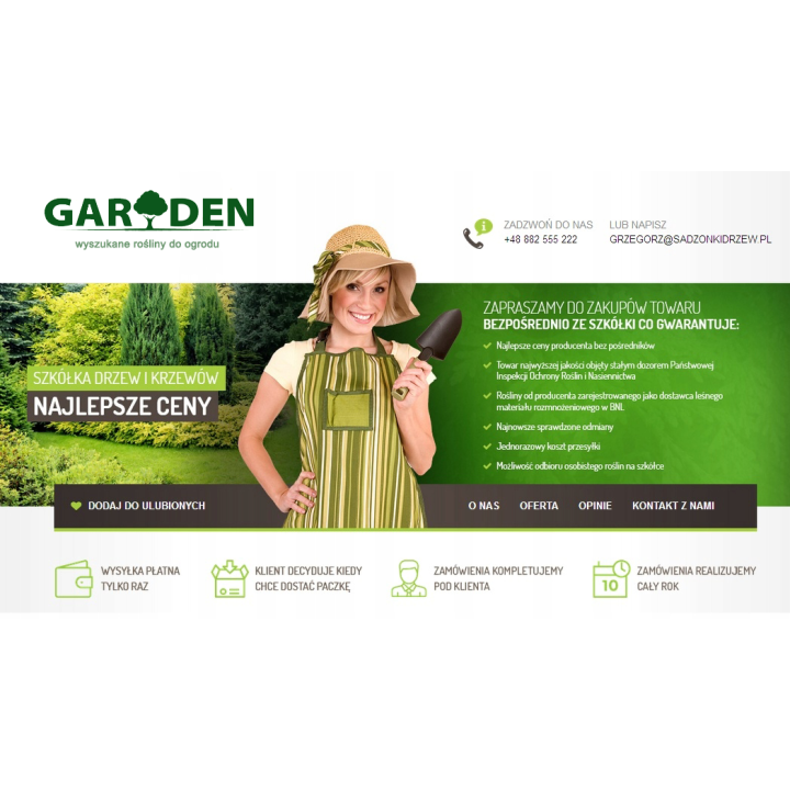 Grab zwyczajny (Carpinus betulus) sadzonka 6-8 cm pnia — idealna na gęsty, trwały żywopłot, odbiór osobisty