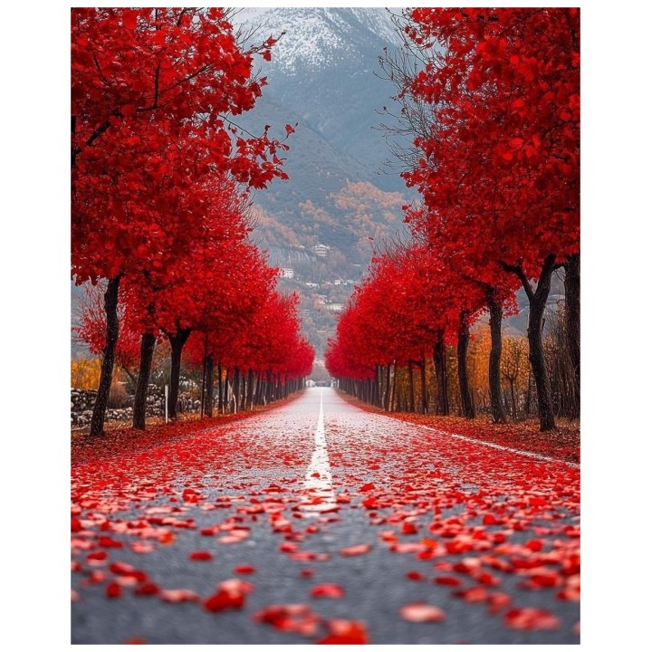 Dąb Czerwony Quercus rubra 14-16 cm | Duże drzewo 300-400 cm — Efektowny soliter do alei