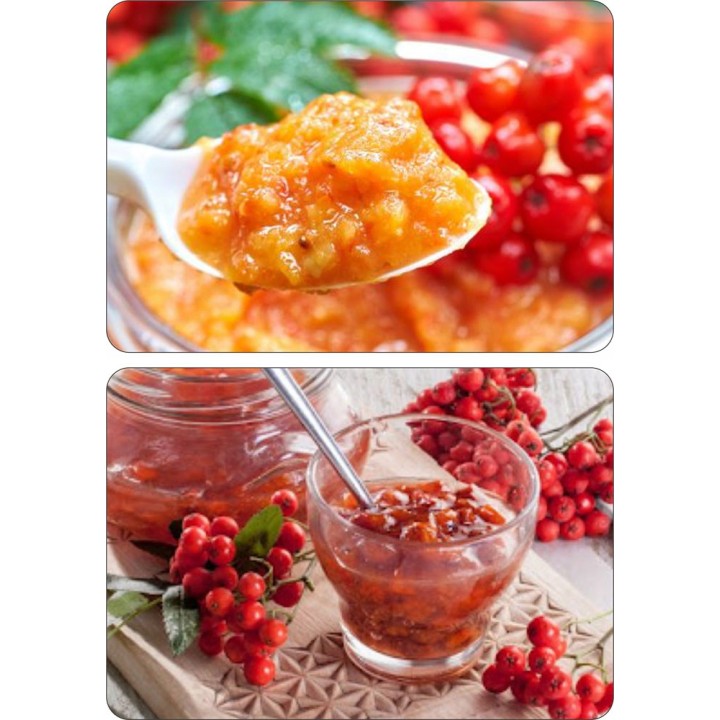 Jarzębina XL – Sadzonka Jarząb Pospolity Obw. 10–12 cm | Drzewo Miododajne, Odbiór osobisty