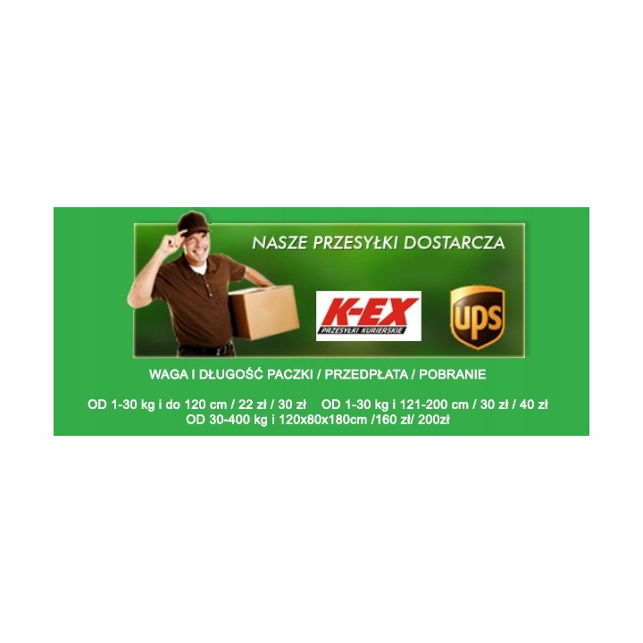 Klon zwyczajny Acer platanoides - sadzonka 200 cm, pniak 12–14 cm, 1 szt. - Szkółka GARDEN