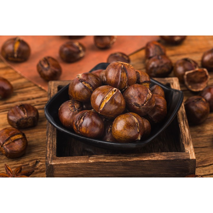 Kasztan jadalny 50–60 cm – Sadzonka premium, smaczne orzechy do pieczenia