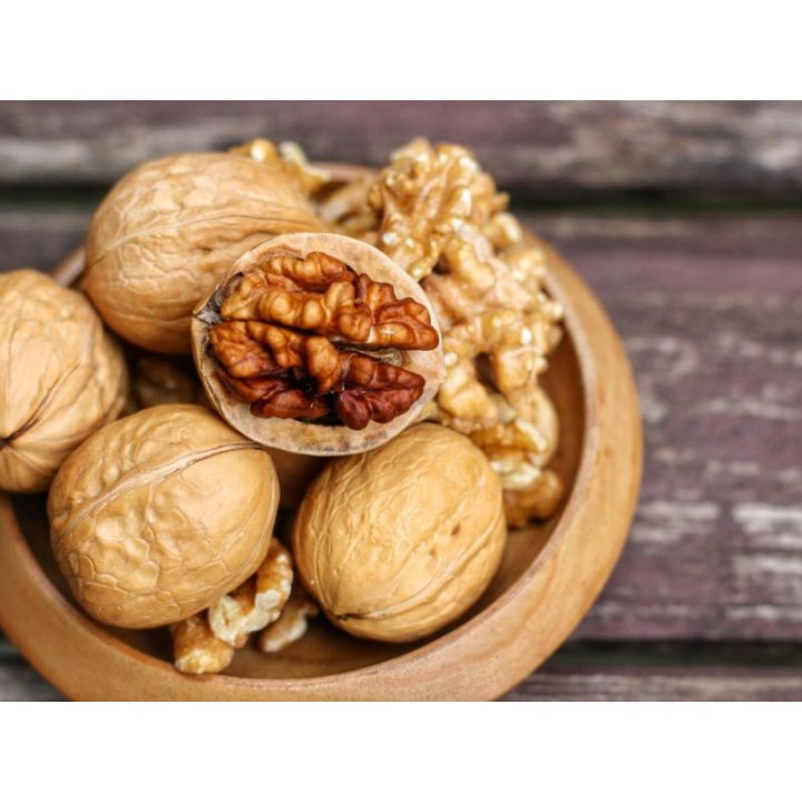 Młode sadzonki orzecha włoskiego 10–20 cm – zdrowe, ukorzenione do Twojego ogrodu