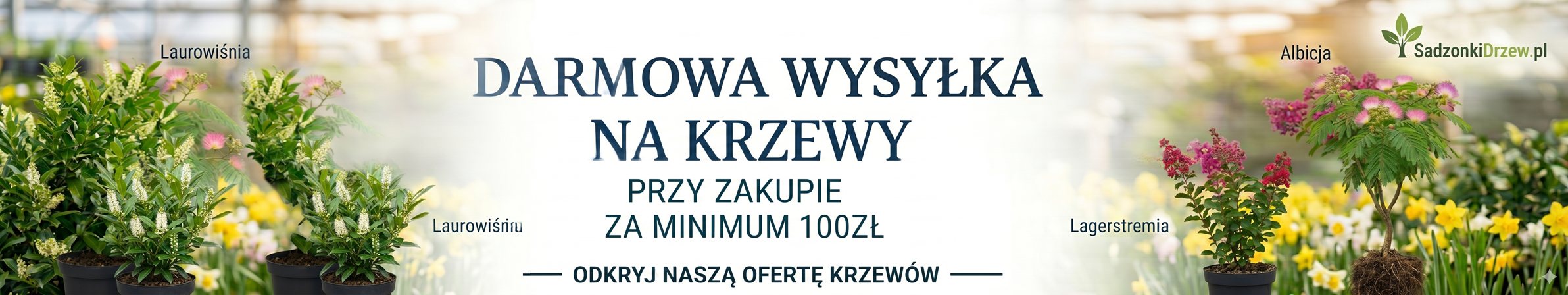 Sprawdź Nasze najnowsze promocje !